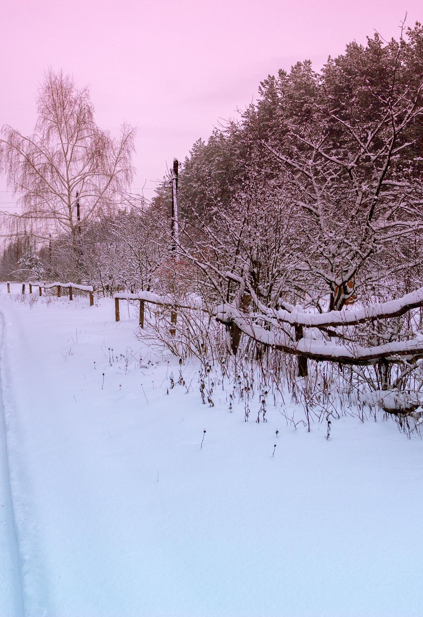 Geelong Residents Discover Free Winter Routes to Beat Crowds