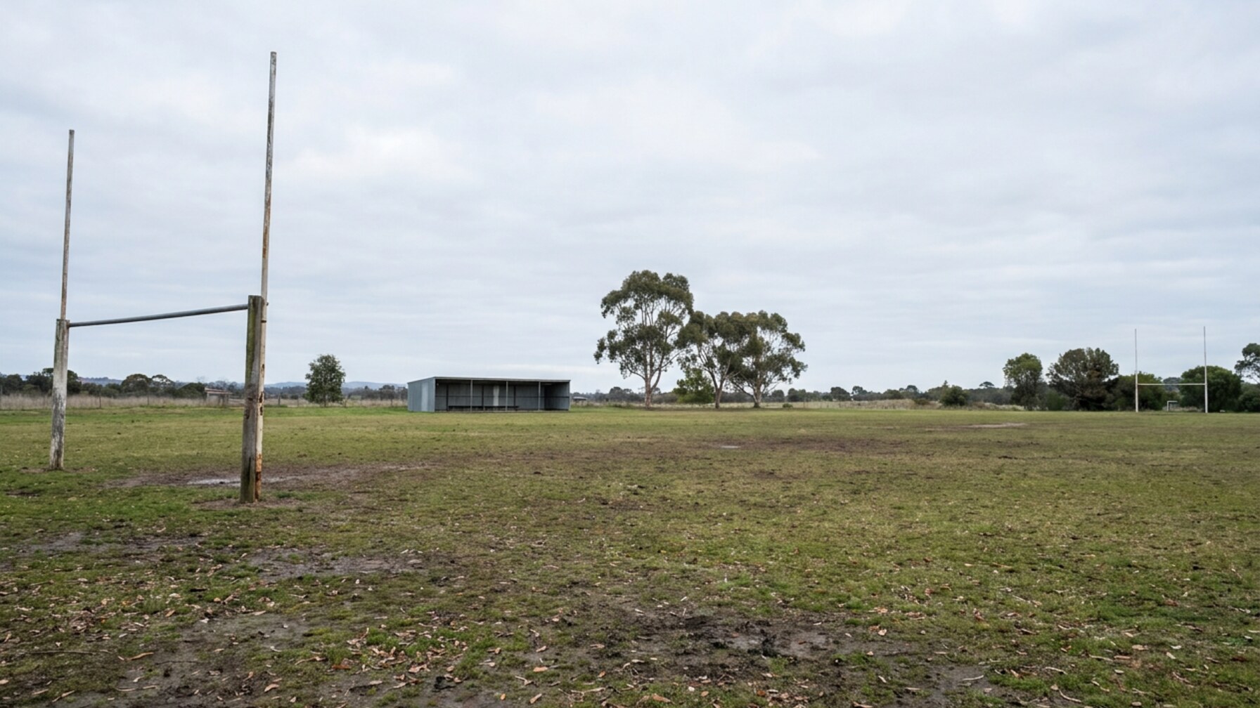 Geelong Sport Scene Draws Attention to Local Clubs and Athletes